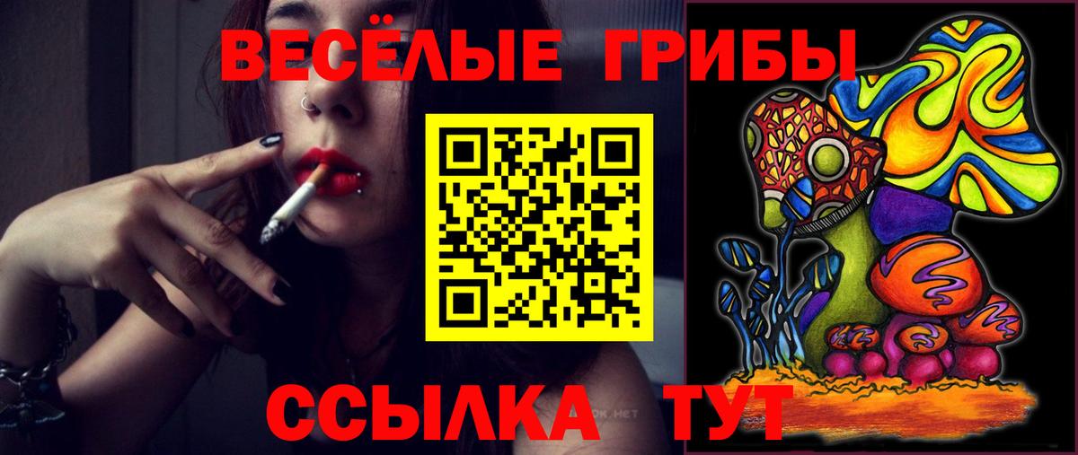 Псилоцибиновые грибы MAGIC MUSHROOMS  Вход с VPN  Десногорск 
